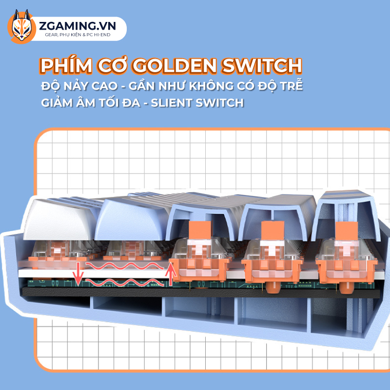 [HỎA TỐC 2H] Bàn Phím Cơ Không Dây LANGTU GK65 | Hot-Swap | Golden Switch - Bảo Hành 12 Tháng - Sẵn Hàng Giao Ngay | BigBuy360 - bigbuy360.vn