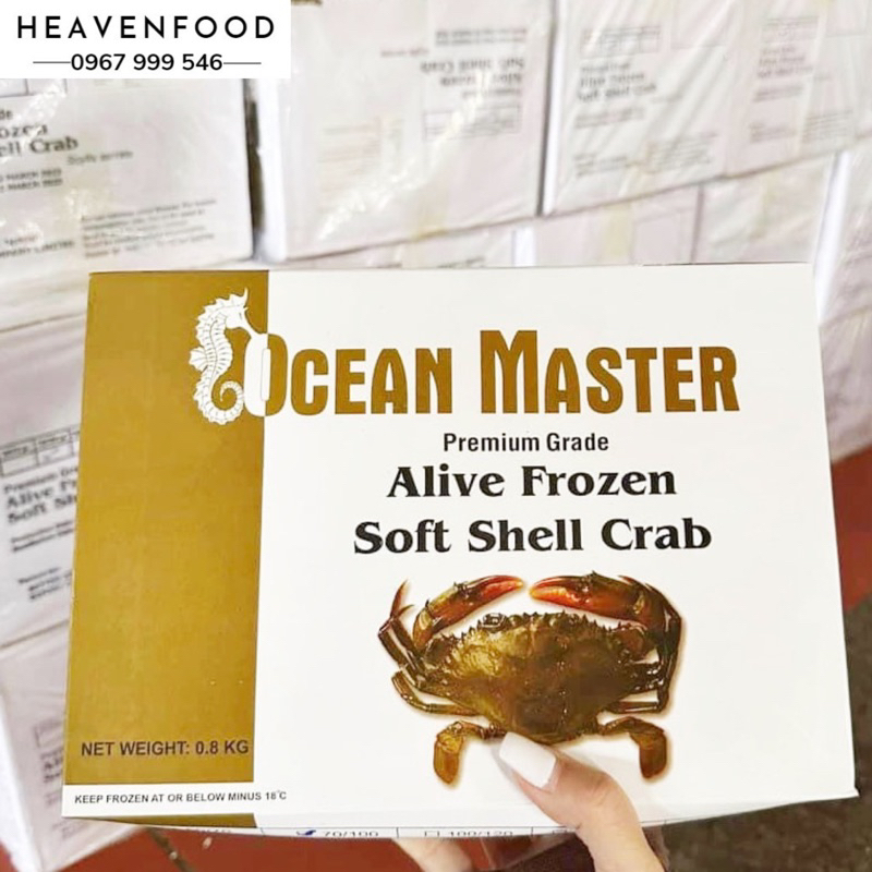 CUA LỘT MYANMAR SIZE LỚN 8-10 CON. GIÁ SỈ