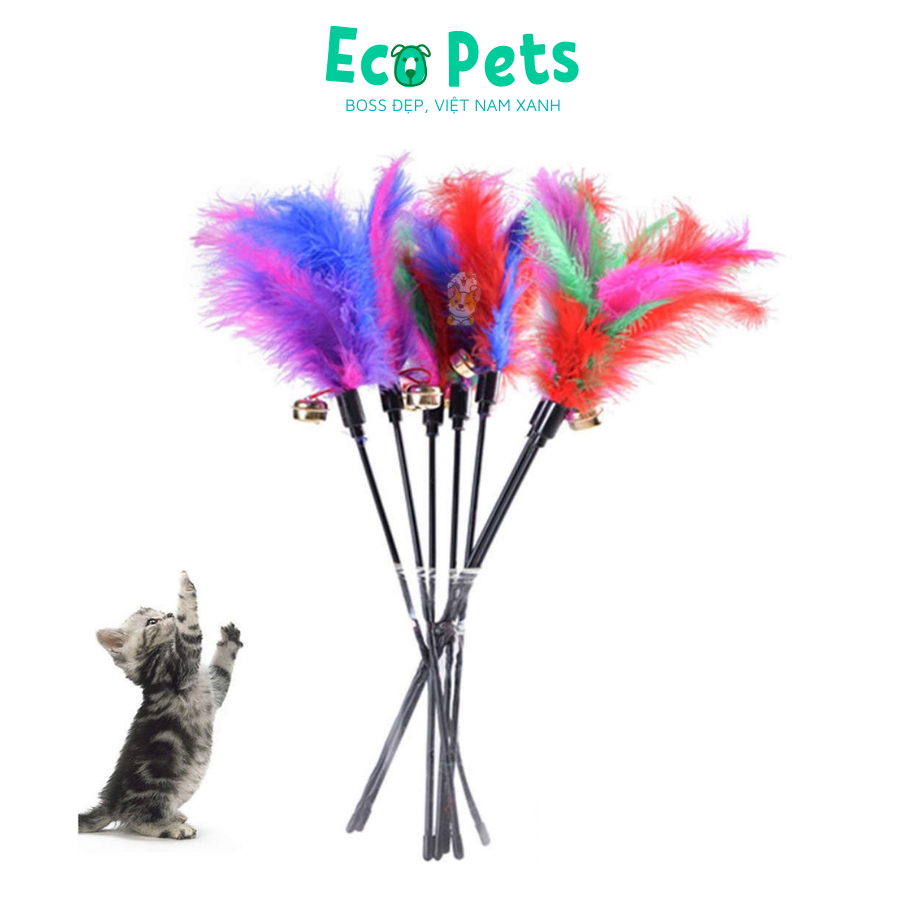 Đồ chơi cho mèo ECOPETS cần câu mèo bằng dây thép dẻo đồ chơi có chuông cho mèo giải trí màu sắc đáng yêu