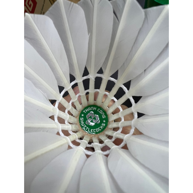 Cầu Thành Công 77 Chính Hãng