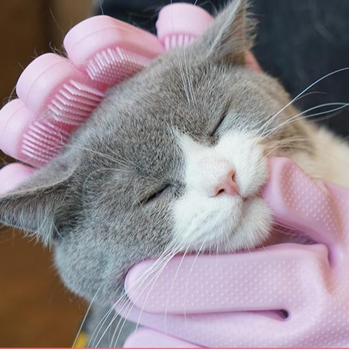 Đôi Găng Tay Rửa Chén Silicon Tạo Bọt - Găng Tay Silicon Rửa Chén Đa Năng