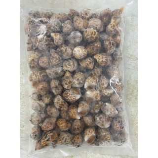 HOẢ TỐC - 1KG ỐC HƯƠNG QUẾ INDO