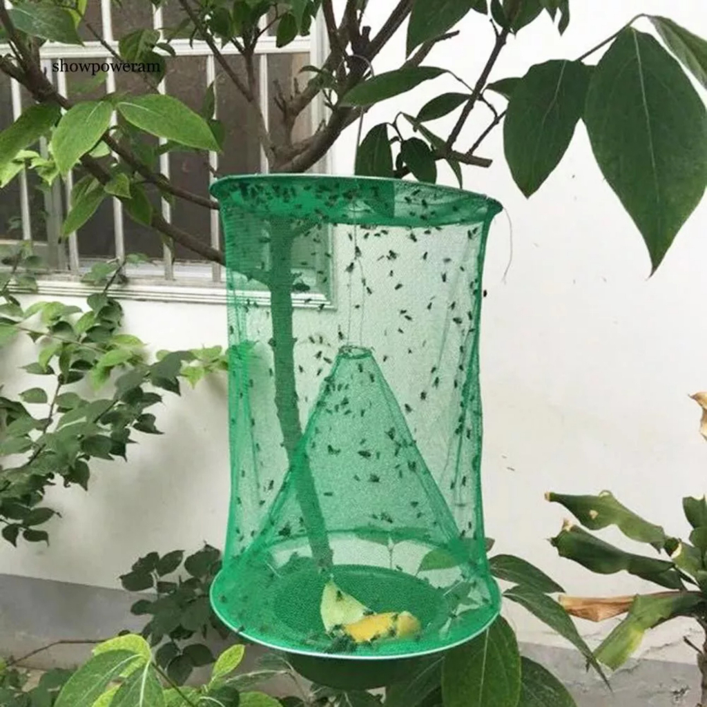 Lồng Bẫy Ruồi Thủ Công, Hiệu Quả Tiện Lợi Dễ Sử Dụng
