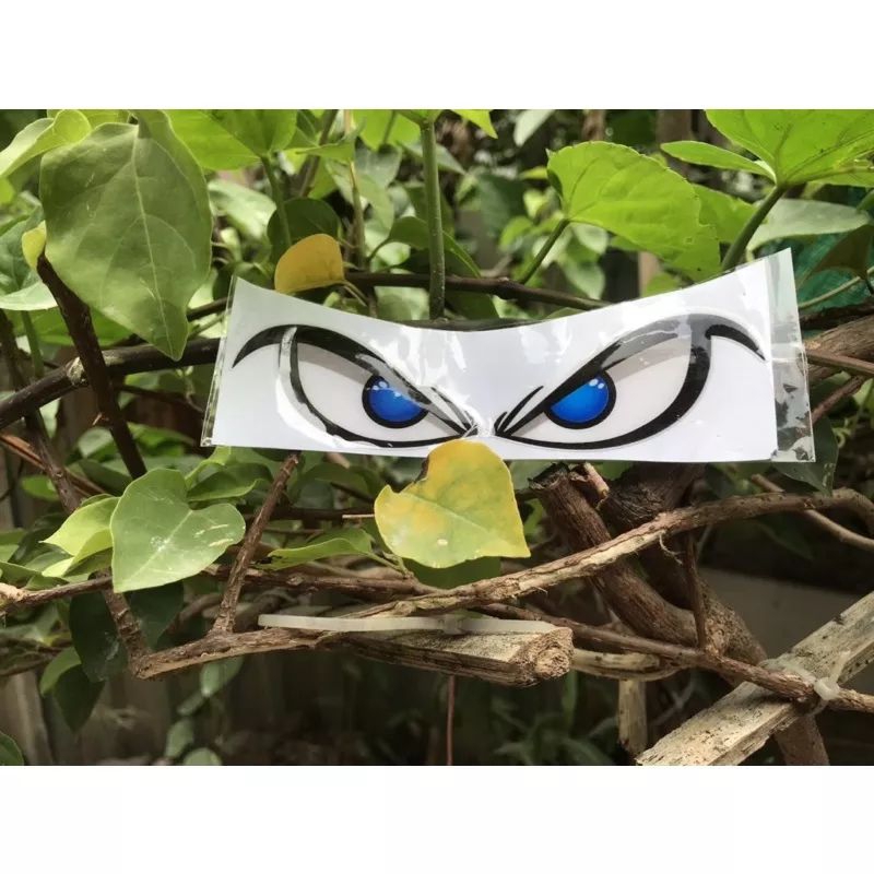 Tem mắt cú trang trí xe máy, ô tô cực đẹp