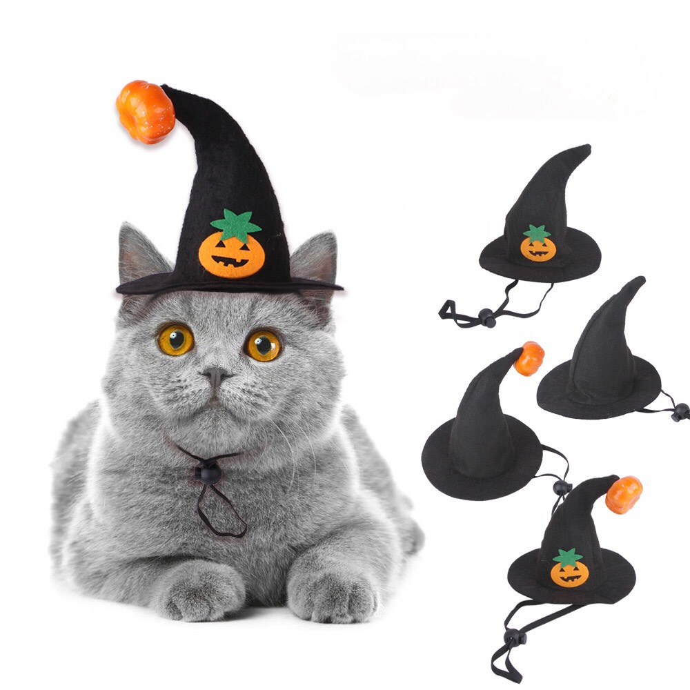 Nón phù thuỷ cho mèo chó, hoá trang Halloween, mũ phù thuỷ hoá trang thú cưng, lễ hội ma quỷ cho chó mèo Gấu Bông Baby81