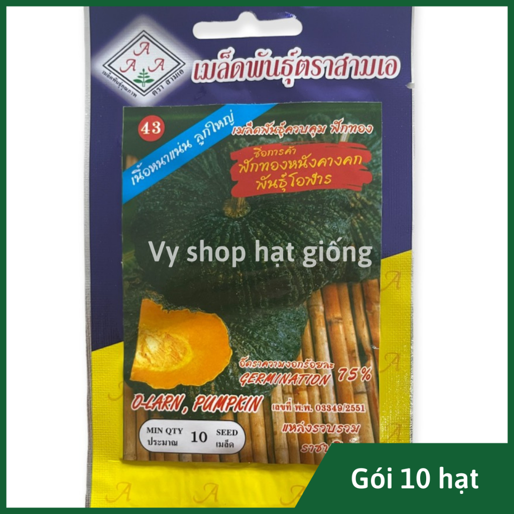 Hạt giống bí ngô (bí đỏ) da cóc vỏ sần Thái Lan gói 35 hạt