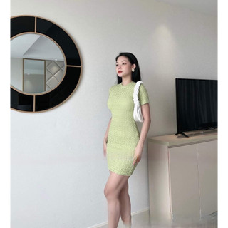 ĐẦM BODY TAY NGẮN