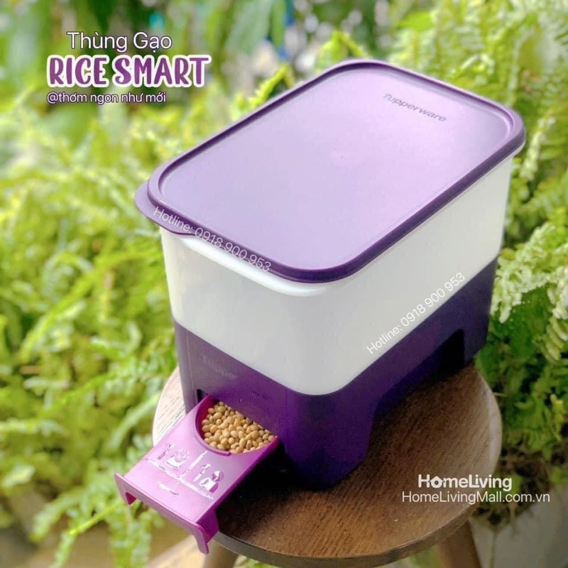 Thùng gạo Rice Dispenser 5kg