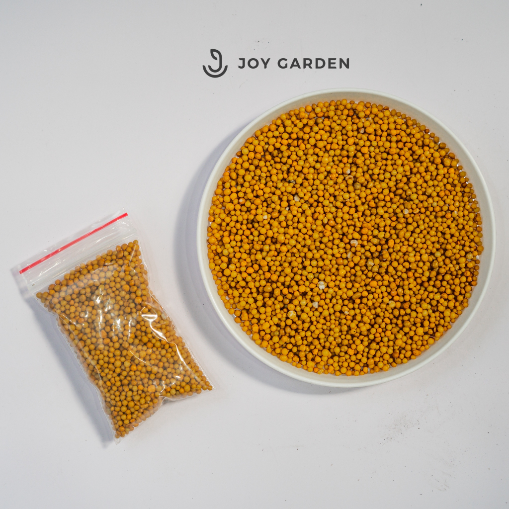 (100g) Phân tan chậm - Loại tốt nhất cho sen đá - Giúp sen cứng, giữ form & lên màu nhanh - Nhập khẩu USA | Joy Garden