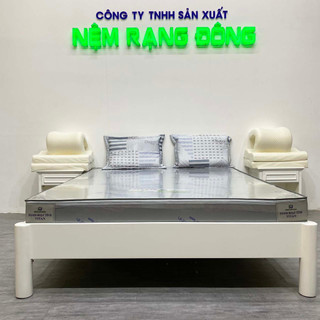 Nệm cao su Hoạt Tính Rạng Đông Titan Grey Chính Hãng Có Chứng Từ Bảo Hành