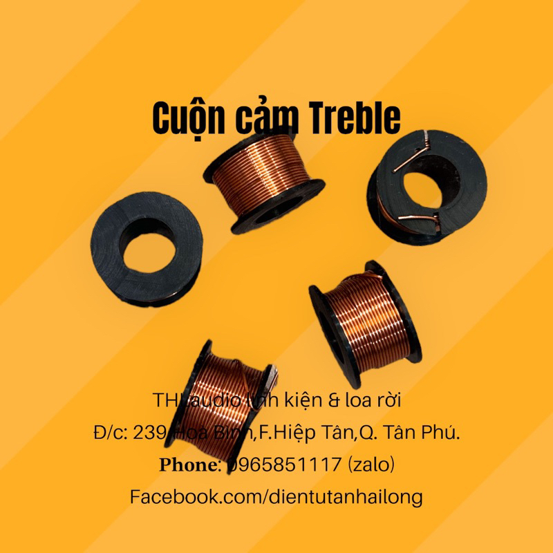Cuộn cảm chép