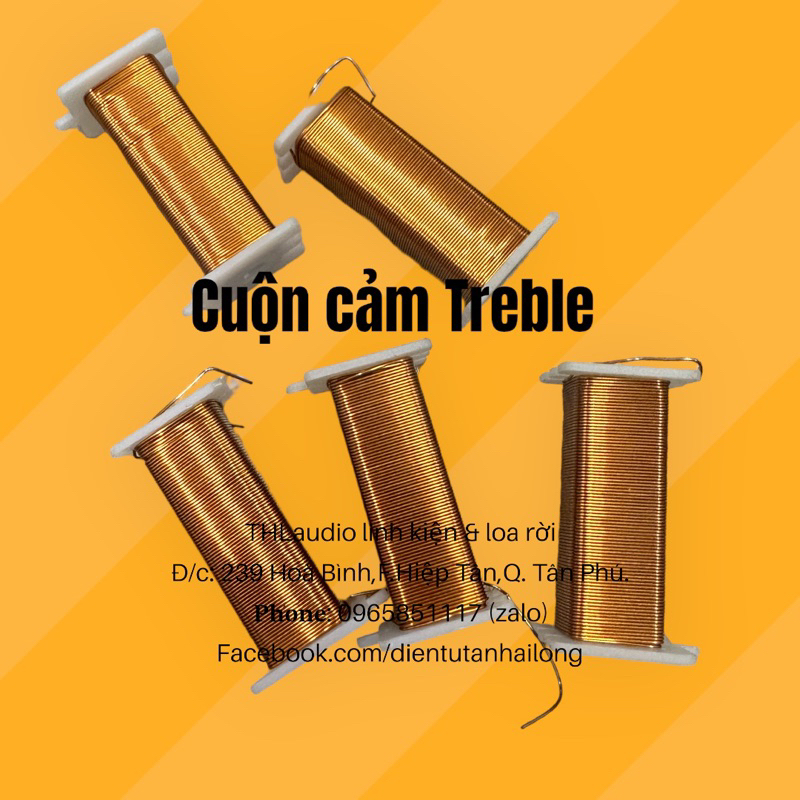 Cuộn cảm chép