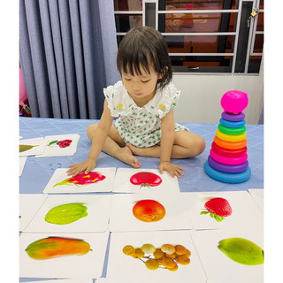 Combo 300 thẻ FLASHCARD GLENN DOMAN Cơ Bản, BABY GLENN DOMAN gồm Thẻ Số, Thẻ Chữ, Thẻ Thế Giới Xung Quanh