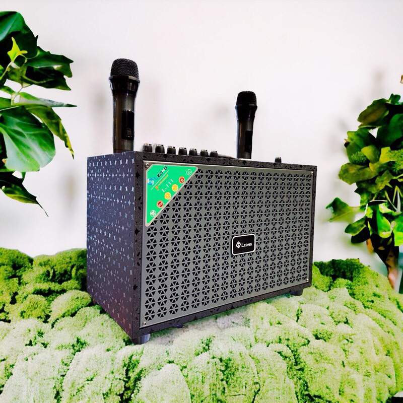 Loa Kéo Karaoke Xách Tay Di Động,Âm Thanh Chuẩn.Tặng Kèm 2 Micro Không Dây