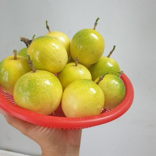 CHANH DÂY NGỌT HƯƠNG ỔI