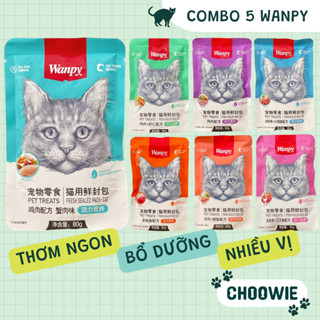 [GÓI TIẾT KIỆM] Combo 5 gói pate mèo WANPY 80 gram | Đồ ăn cho mèo
