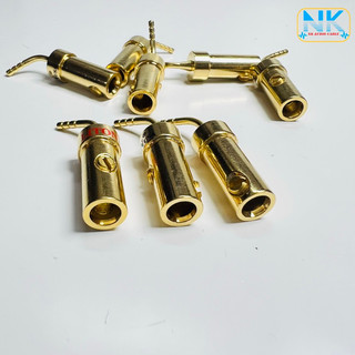 Jack loa mỏ chim Liton USA ( 1 Cặp )