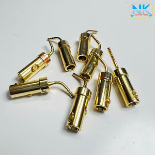 Jack loa mỏ chim Liton USA ( 1 Cặp )