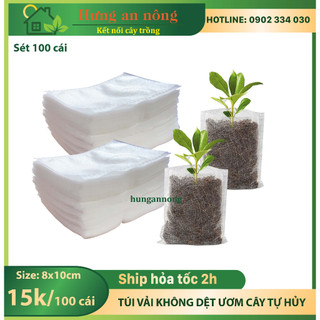 500 túi vải không dệt tự hủy, ươm trồng tiện lợi size 8x10cm