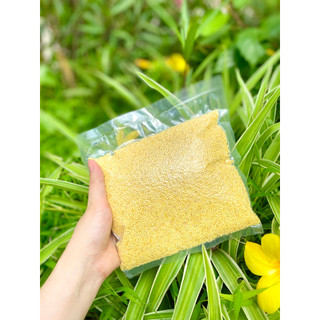 Hạt kê nếp vàng Nghệ An