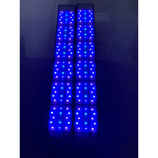 Mạch Led Chế Đèn Cho Bể San Hô, Bể Cá Biển