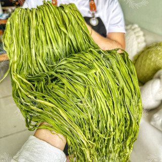 500Gr RAU TIẾN VUA KHÔ Hút Chân Không (Công Sôi/ Rau Cần Biển/ Rau Cần Khô) - Túi 500gram