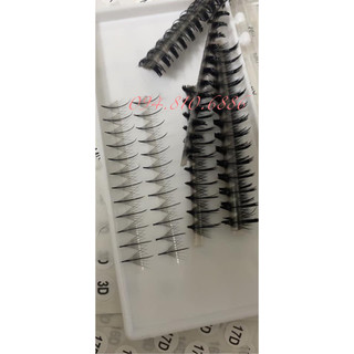 Mi trụ katun 5d 1000 fan hàng bao đẹp