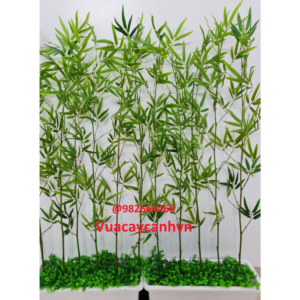 Cây trúc giả ,Trúc quân tử giả, Trúc là nhựa nhiều nhánh như thật ( cao 1.5m)