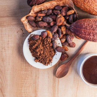 Bột cacao nguyên chất Đắk Lắk