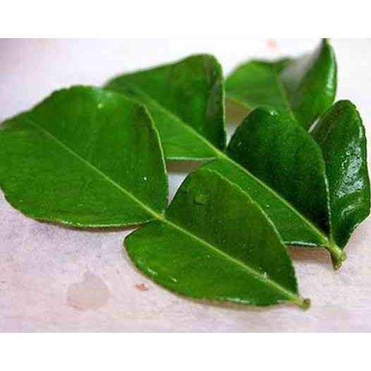 Lá Bưởi Tươi Dùng X.ông  tắm,  gội đầu - Ship hỏa tốc - Lá xanh tươi