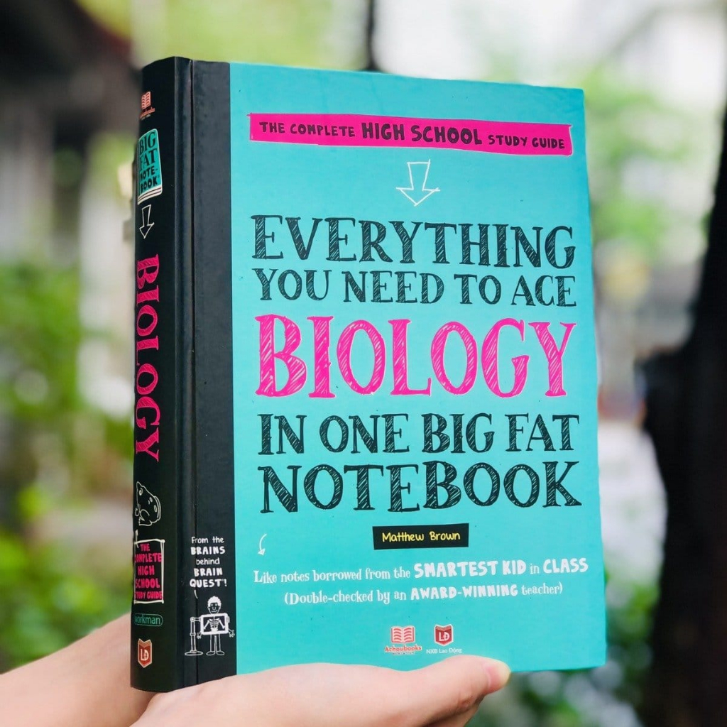 Big Fat Note lẻ 1q nhập