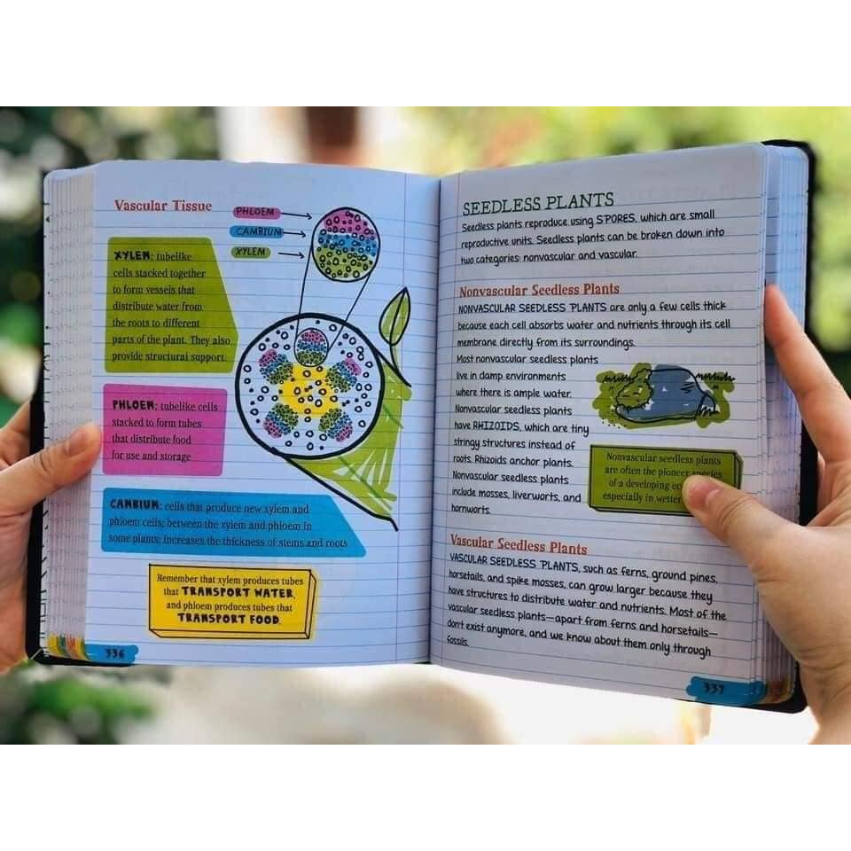 Big Fat Note lẻ 1q nhập