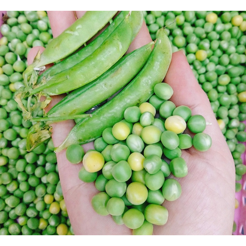 Đậu Hà Lan đông lạnh tiện lợi gói 500g