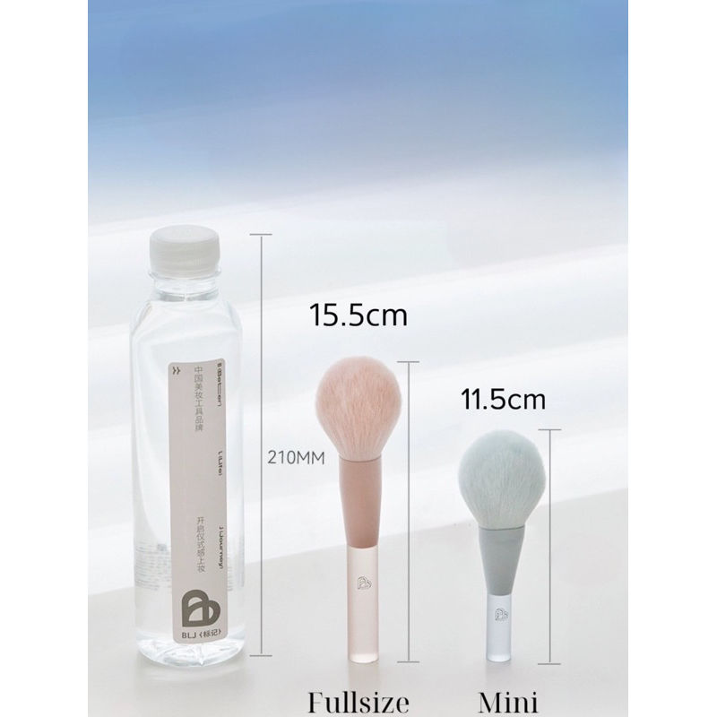 Bộ Cọ Makeup 11 cây fullsize + Hộp đựng Cọ