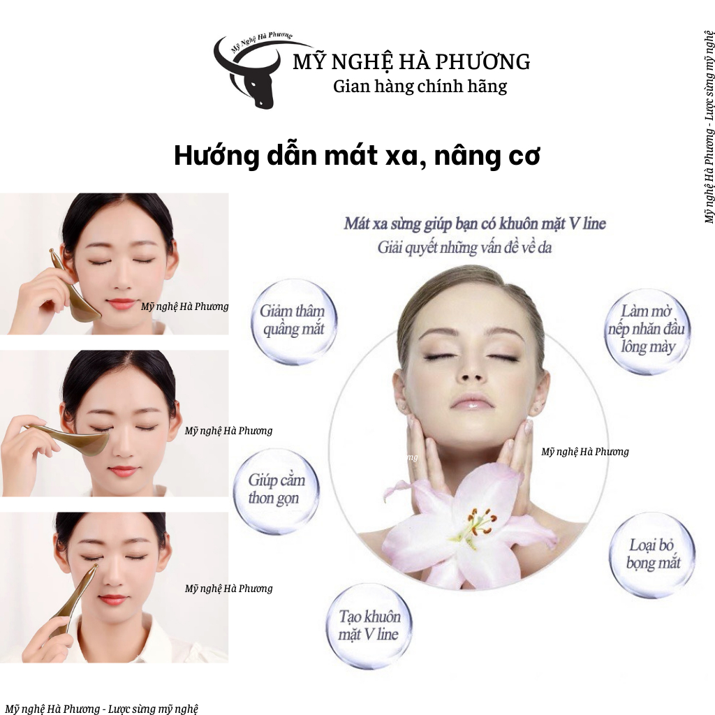 Cây Lăn Massage Mặt, Xoá Nếp Nhăn Da Mặt Bằng Sừng, Dụng Cụ Diện Chẩn Chăm Sóc Sắc Đẹp | Mỹ Nghệ Hà Phương