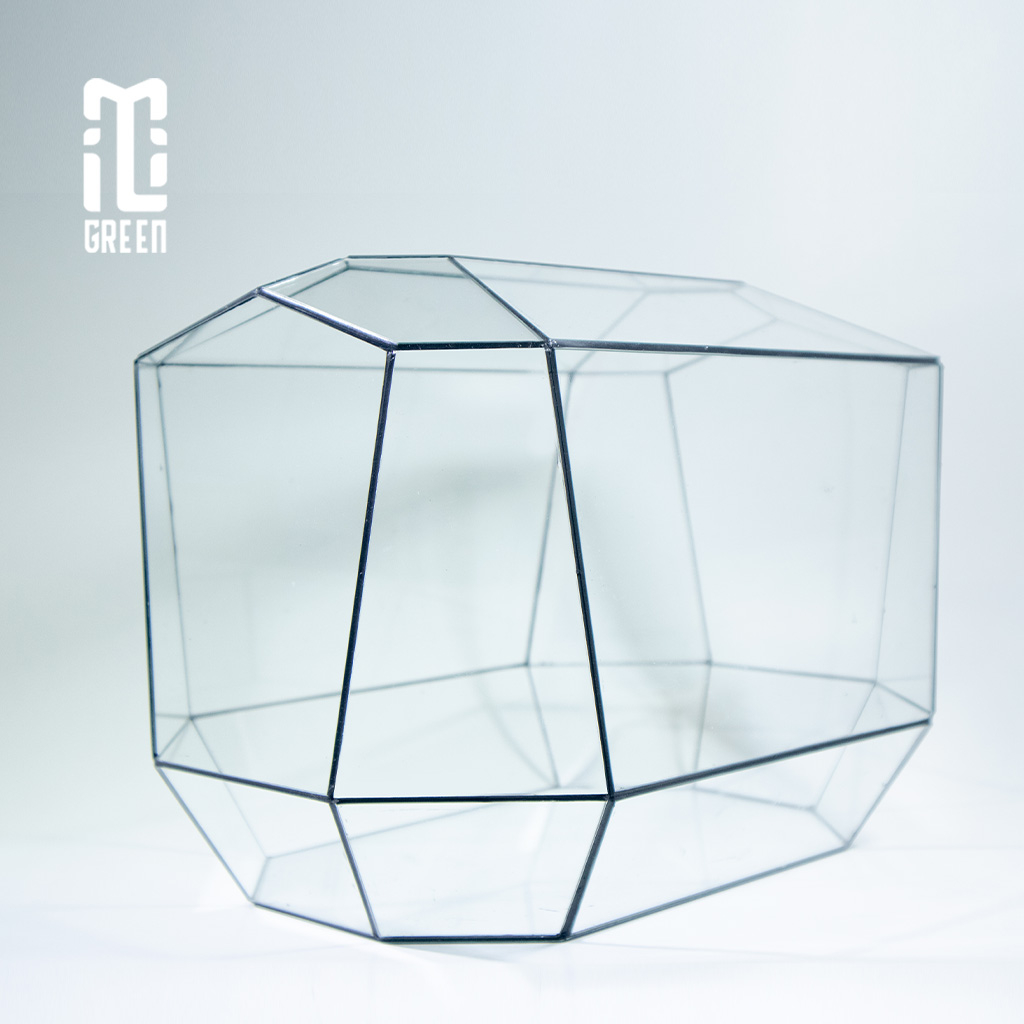 Bình kính Terrarium, Bể Kính Terrarium, Trang trí Terrarium, Setup bàn làm việc