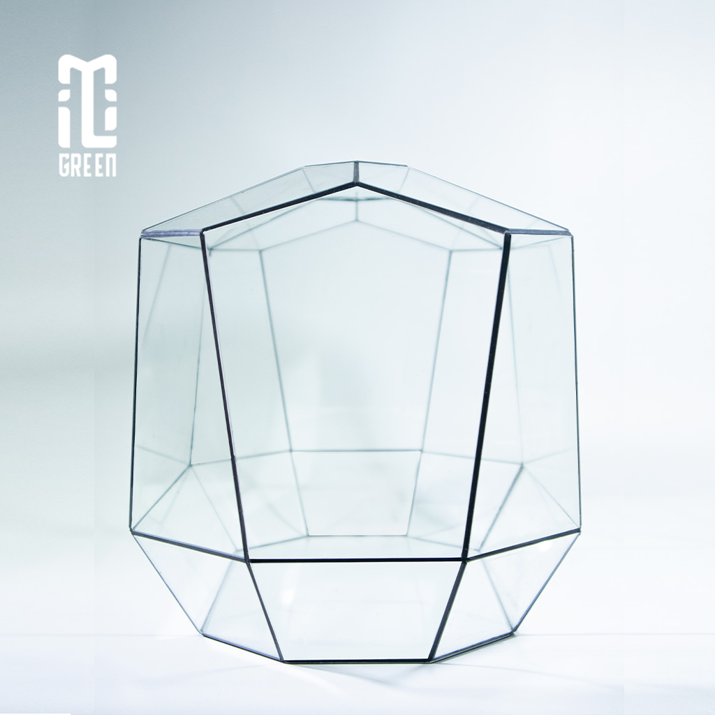 Bình kính Terrarium, Bể Kính Terrarium, Trang trí Terrarium, Setup bàn làm việc