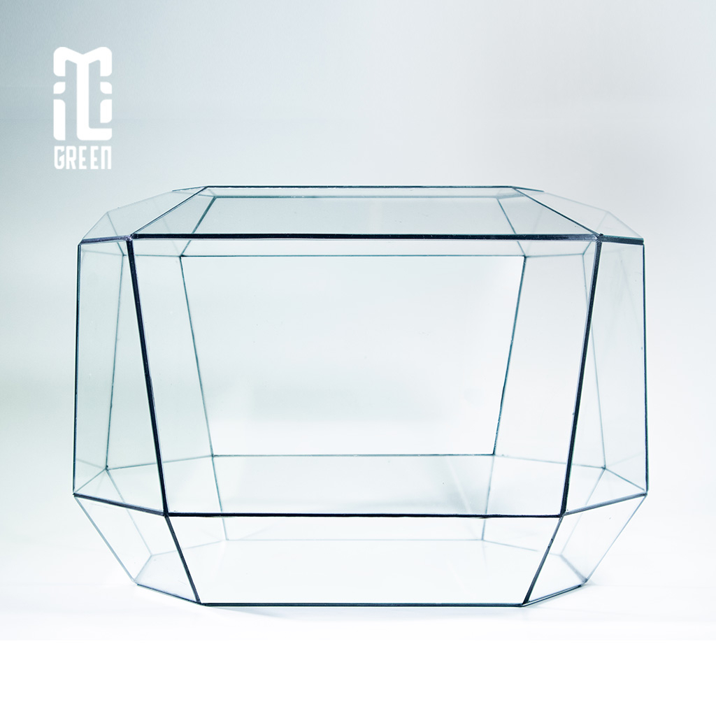 Bình kính Terrarium, Bể Kính Terrarium, Trang trí Terrarium, Setup bàn làm việc