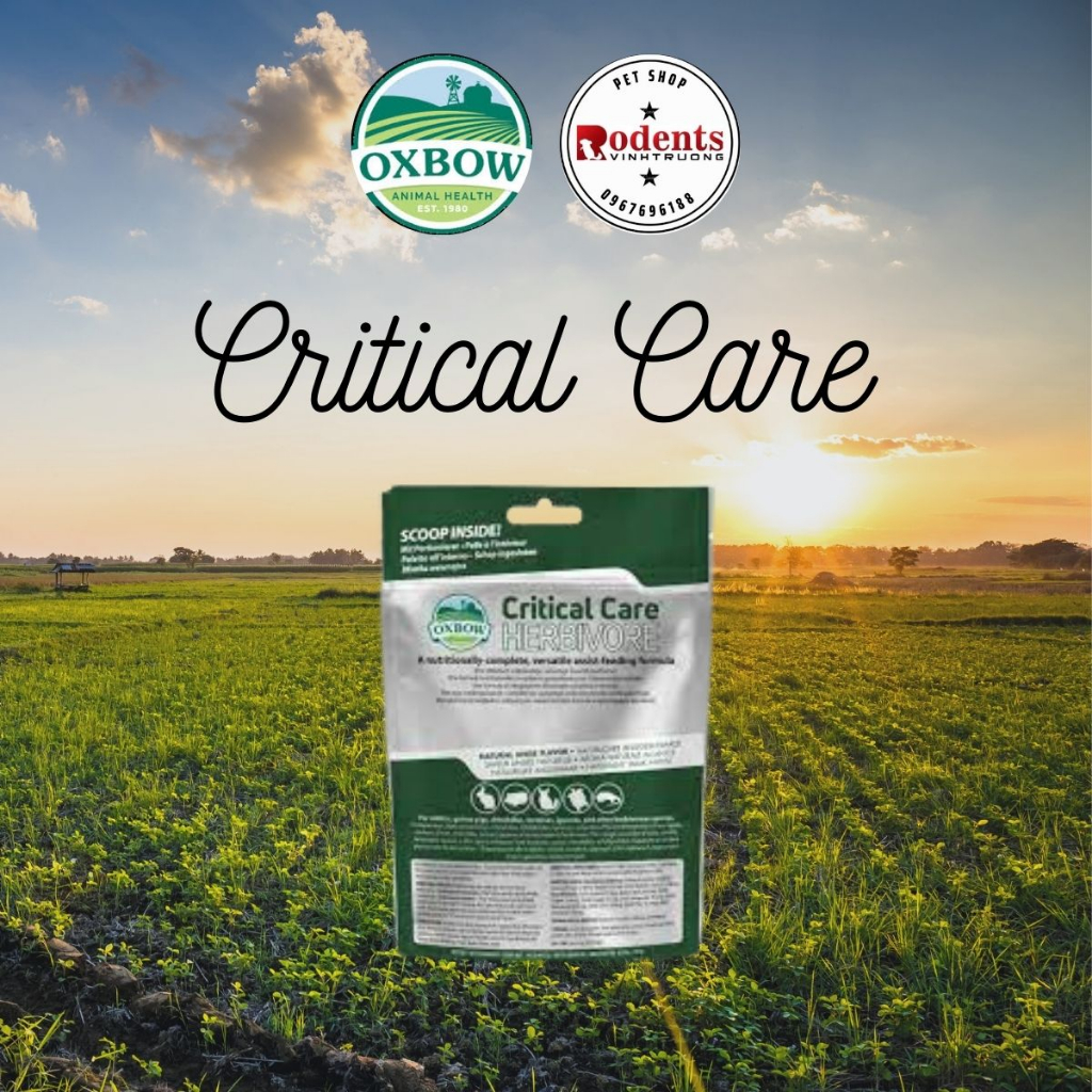 Bột Dinh Dưỡng Oxbow Critical Herbivore dành cho Thỏ,Bọ,Chinchilla