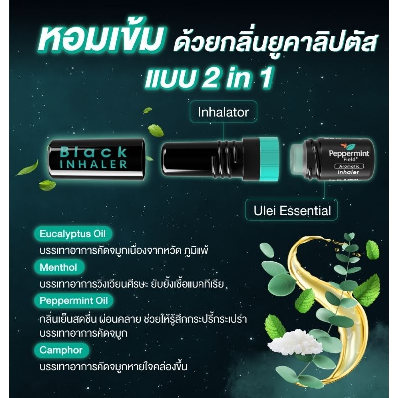 1 ỐNG HÍT THÔNG MŨI BẠC HÀ PHIÊN BẢN BLACK PEPPERMINT FIELD THÁI LAN