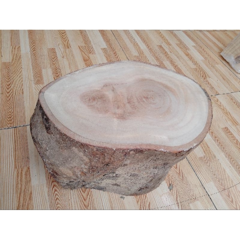 Khúc gỗ tự nhiên còn vỏ cao 20cm, đk 25-28cm.