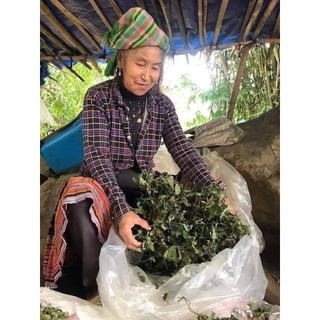 Lá đắng dạ dày , lá rau đắng rừng khô nấu canh, pha nước uống dân tộc vùng cao tây bắc