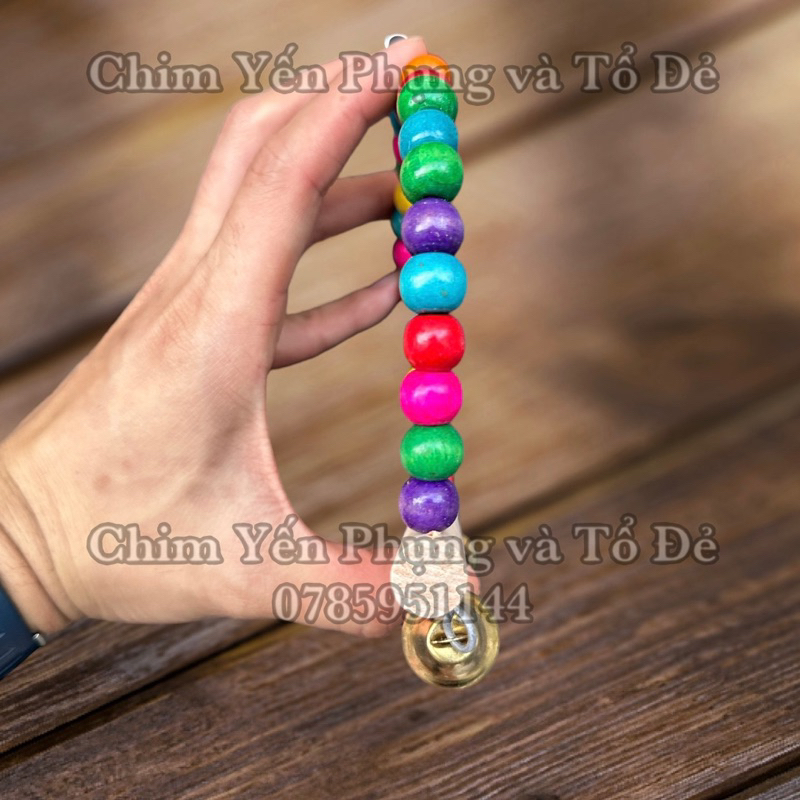 Xích đu có chuông nhiều màu sắc giải trí cho vẹt