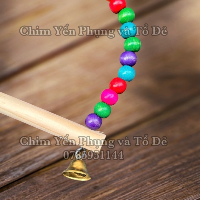 Xích đu có chuông nhiều màu sắc giải trí cho vẹt