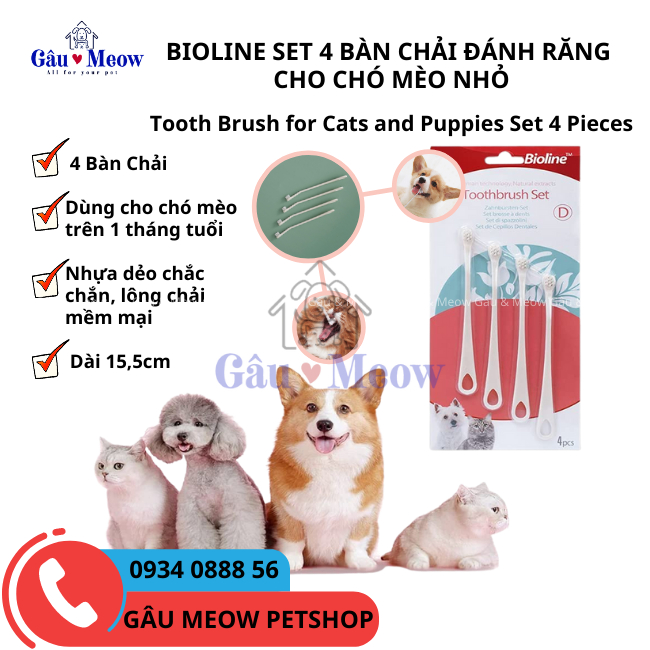 Bioline Toothbrush Set for Cat and Puppy bột bàn chải chăm sóc răng miệng cho thú cưng chó mèo nhỏ set 4 chiếc