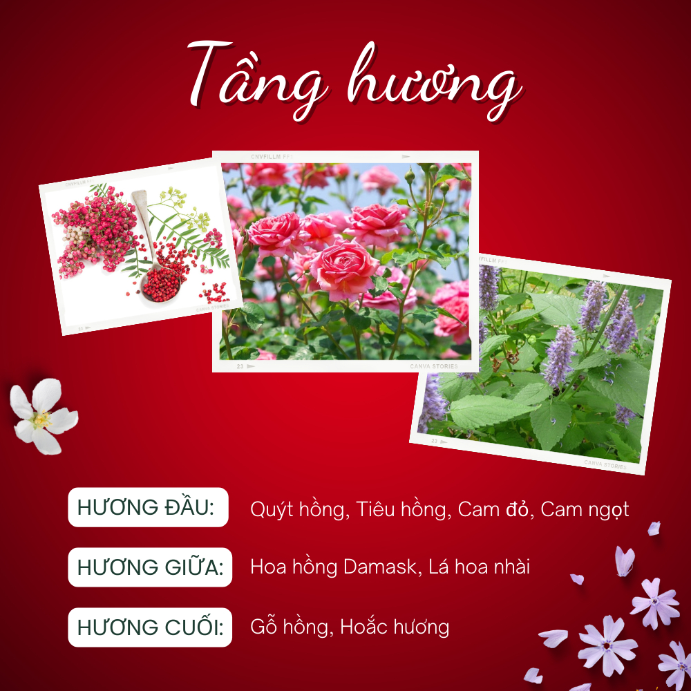 Nước Hoa  Nữ Miss Dior Blooming Bouquet Edp Nước Hoa Chiết   10ml Hương Thơm Sang Trọng Dịu Dàng Quyến Rũ