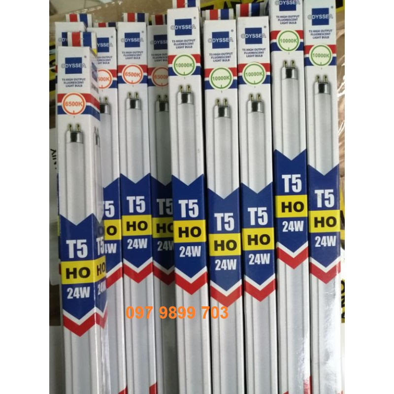 Bóng đèn Odyssea T5H0 6500K VÀ 10000K Bóng trắng Thay Thế Cho Đèn Odyssea Bể Cá Thuỷ Sinh 120 90 60