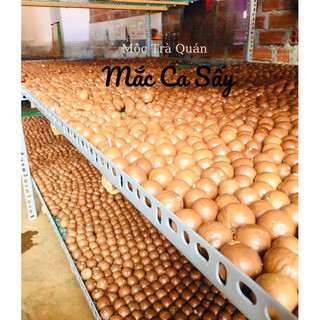 Hạt Mắc ca