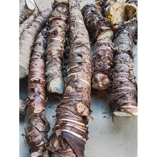 Củ bạc hà núi 1kg