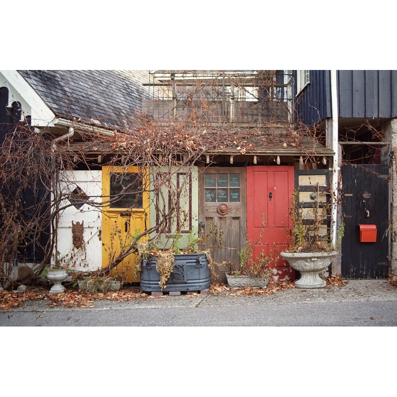 Kodak Ultramax 400 36exp Date 10/2025 Phiên bản mới film 35mm loại hộp lẻ Single box 1 hộp có 1 cuộn